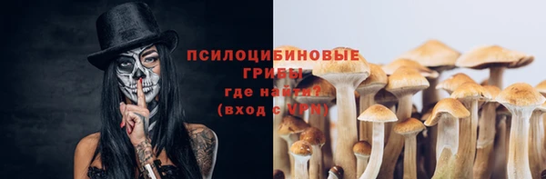 ECSTASY Алексеевка