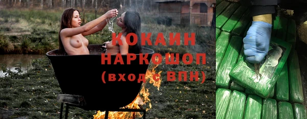 МДПВ Алзамай